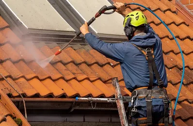 Démoussage et hydrofuge de toiture à Empurany